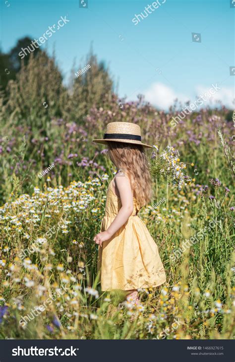 11,997 Girl Walking Flower Field Stock Photos - Dreamstime