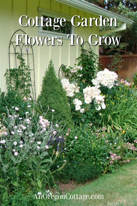 11 + Easy Cottage Garden Flowers To Grow - An Oregon Cottage