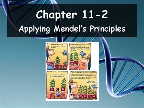 11 2 applying mendel s principles answer key