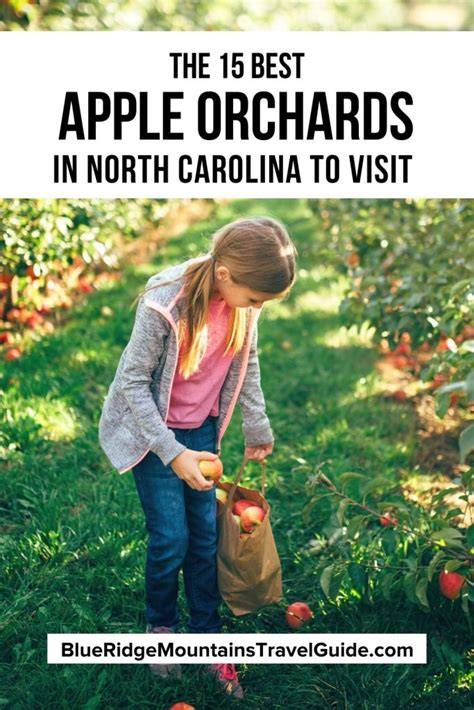 11 Best Apple Orchards in the North Carolina Mountains - raincitystudios.com
