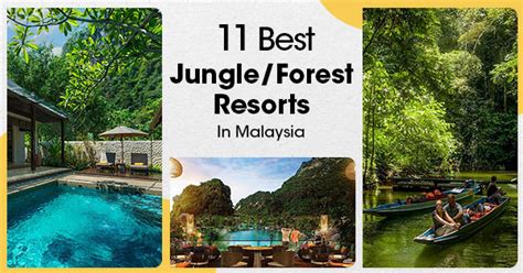 11 Best Jungle/Forest Resort in Malaysia - PrivateCarSG - raincitystudios.com
