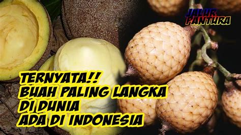 11 Buah Paling Langka di Dunia - Nonstop - raincitystudios.com