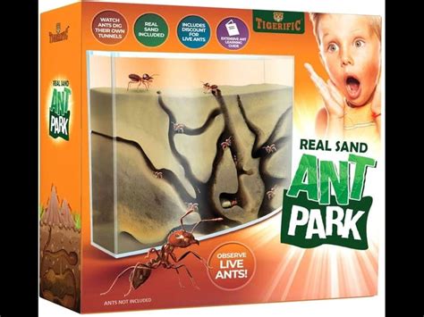 11 Best Ant Farm Kit For Adults 2024: [Reviews