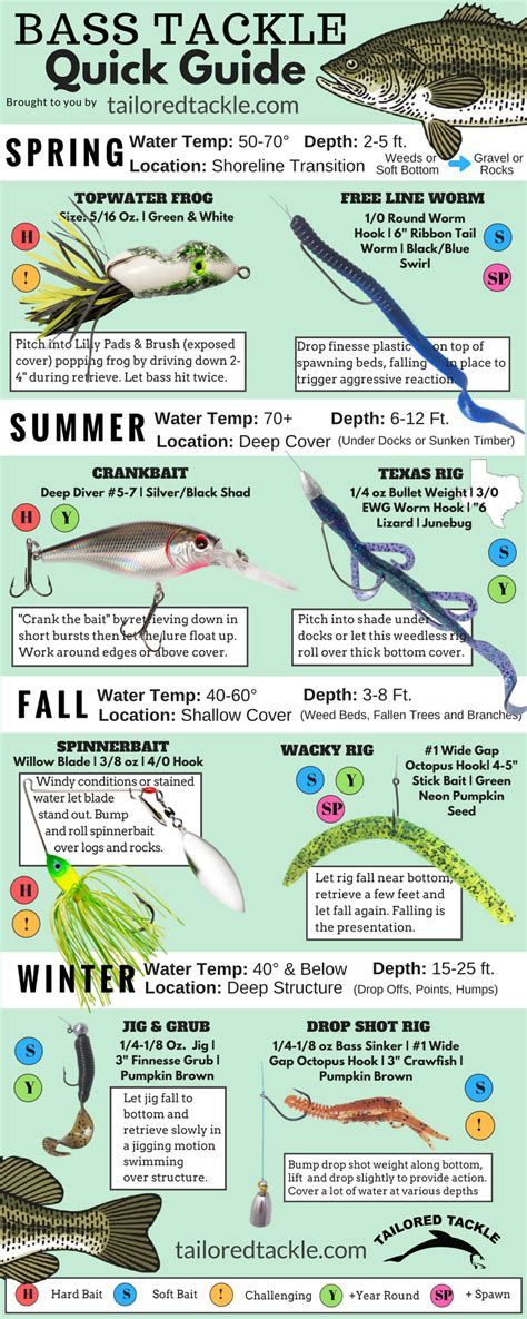 11 Best Lures for Bass Fishing Beginners - Tailored Tackle