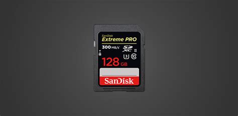 11 Best SD Cards for DSLR in 2024 - FixThePhoto.com