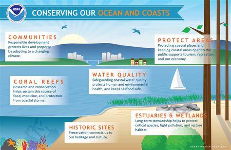 11 Conserving and Restoring Coastal Habitat - raincitystudios.com