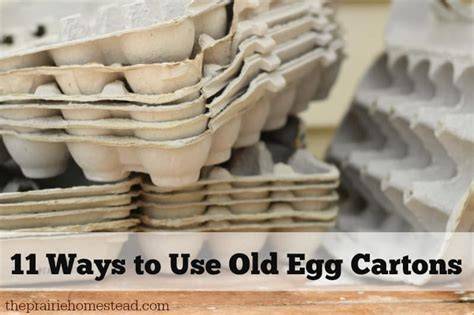 11 Creative Ways to Use Old Egg Cartons - The Prairie … - raincitystudios.com