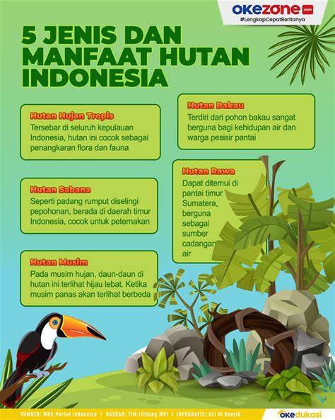11 Manfaat Hutan untuk Manusia (LENGKAP) - Saintif - raincitystudios.com