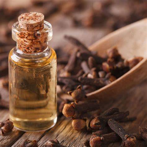 11 Natural Bug Repellents Worth Trying - The Family Handyman - raincitystudios.com