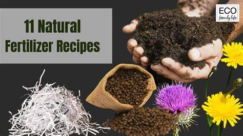 11 Natural Homemade Fertilizer Recipes - Eco Family Life - raincitystudios.com