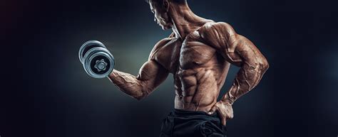 11 Principles of Bodybuilding Training Part 2