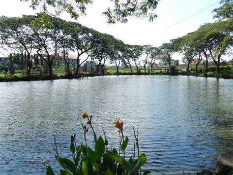 11 Wisata Alam di Surabaya Paling Populer - Traveloka - raincitystudios.com