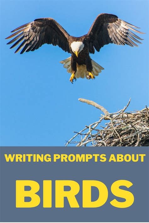 11 Writing Prompts about Birds – Teacher