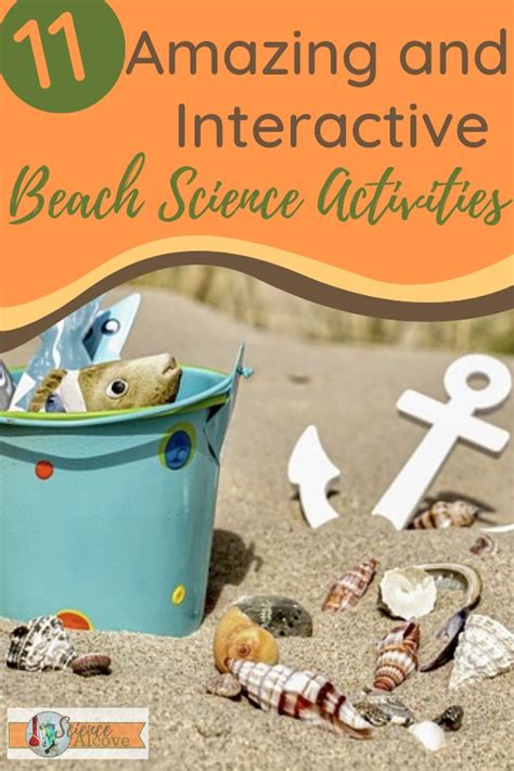 11 Amazing And Interactive Beach Science Activities Science Experiments At The Beach - Science Experiments At The Beach