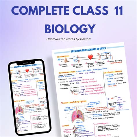 11 Biology Guide