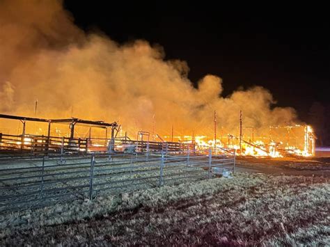 11 horses killed in large Franktown barn fire