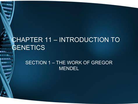 11 Introduction To Genetics Study Guide Key