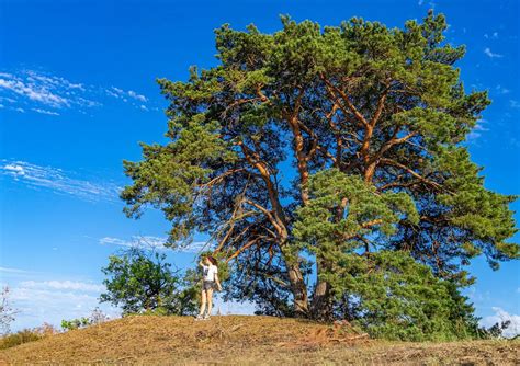 11 mooie wandeltochten in Brabant - Corners of the World