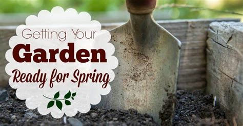 11 tips to get your garden ready for spring