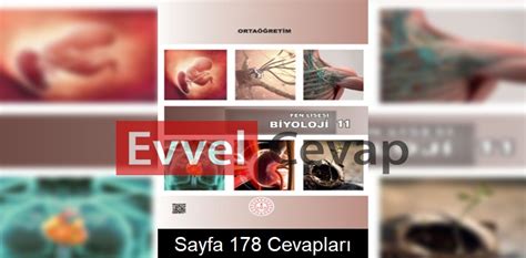 11. Sınıf Fen Lisesi Biyoloji Ders Kitabı Cevapları Sayfa 178. 