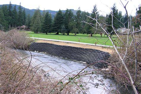 11.0 Streambank and Shoreline Protection - raincitystudios.com