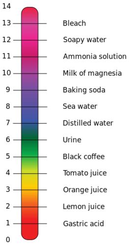 11.1 What is the pH value? Acids, bases and the pH value Siyavula