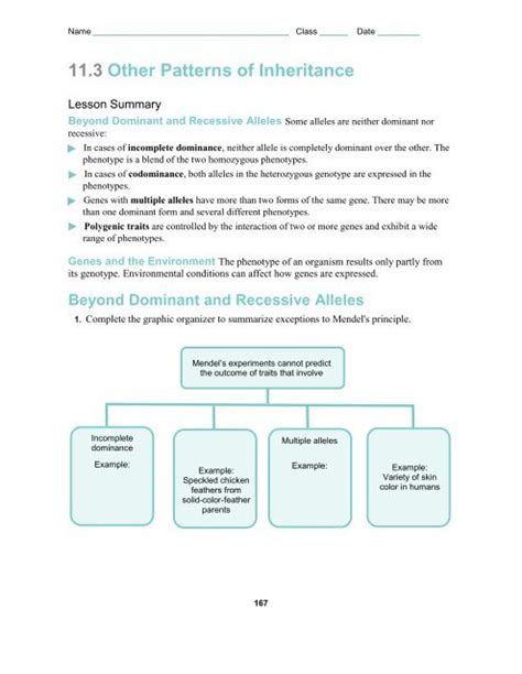 11.3 Other Patterns Of Inheritance Worksheet Answers Alixlaautentica