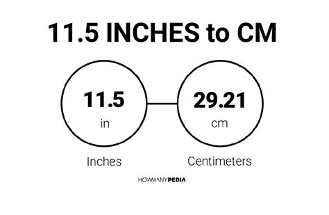 11.5in to cm