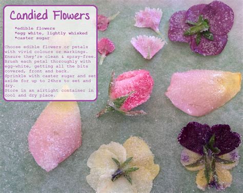 110 Crystallised Flowers ideas flowers, meadowsweet, edible flowers