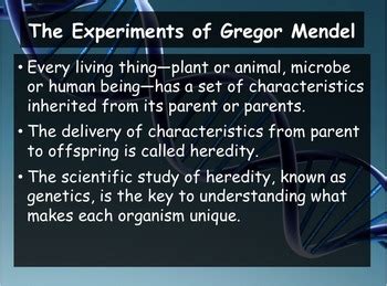 111 The Work Of Gregor Mendel
