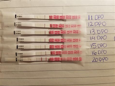 1120 DPO progression on Wondfos r/TFABLinePorn