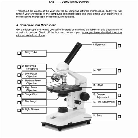 114 Microscopy Worksheet For Students Exercise 1 Parts Microscope Activity Worksheet - Microscope Activity Worksheet