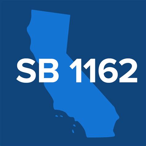 1162 Halı ve Koltuk Yıkama