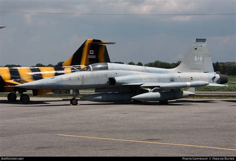 116757 Halı ve Koltuk Yıkama