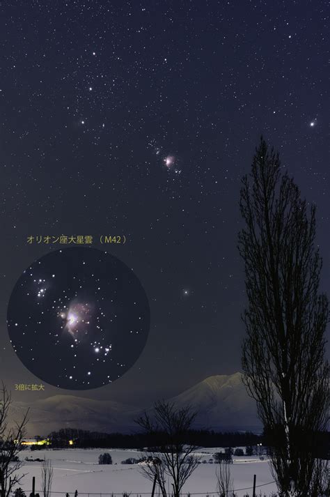 117009 Halı ve Koltuk Yıkama