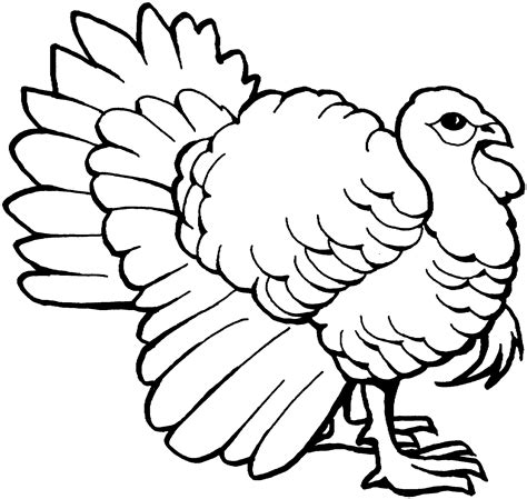 118 Free Printable Turkey Coloring Pages Picture Of A Turkey To Color - Picture Of A Turkey To Color