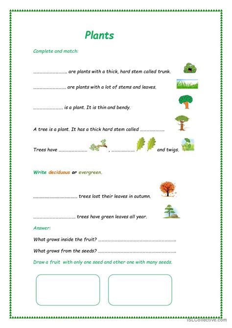 118 Plant English Esl Worksheets Pdf Amp Doc Plant Vocabulary Worksheet - Plant Vocabulary Worksheet