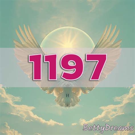 1197 Halı ve Koltuk Yıkama