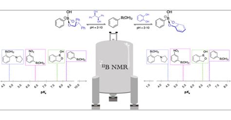 11B NMR Spectroscopy Structural Analysis of the Acidity and Reactivity