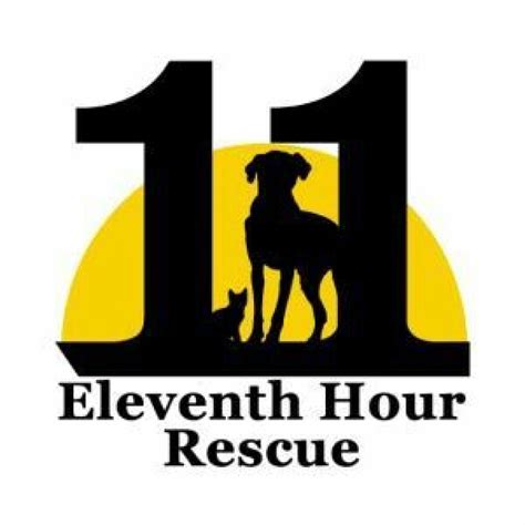 11th hour rescue. Eleventh Hour Rescue is a fully registered 501C(3) nonprofit, volunteer-based organization dedicated to saving the lives of innocent dogs and cats on death row. Many of the animals rescued by ... 