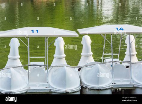 12,400+ Paddle Boats Stock Photos, Pictures & Royalty-Free …