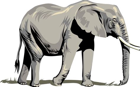 12,786 Elephant Clipart Images, Stock Photos & Vectors