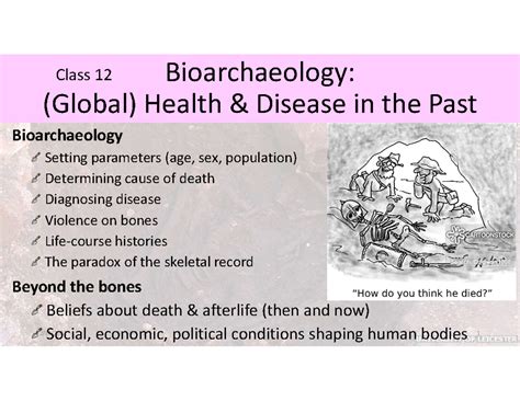 12: Bioarchaeology - Social Sci LibreTexts - wintechmobiles.com