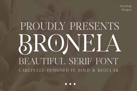 12+ Transitional Serif Typeface Styles Explained