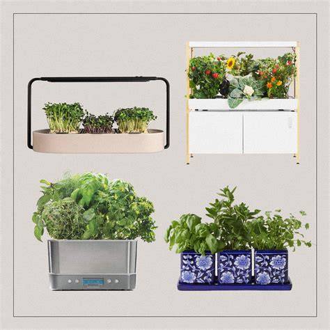 12 Best Indoor Herb Gardens - Kitchen Herb Garden Kits - raincitystudios.com