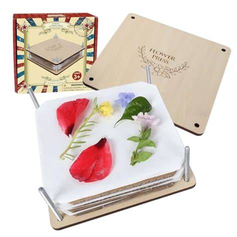12 Best Plant Press Kits for Preserving Specimens That Spark Natural ... - raincitystudios.com