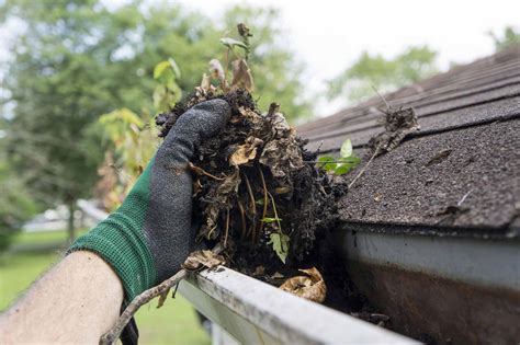 12 Best Gutter Cleaning and Repair Services - Mansfield OH