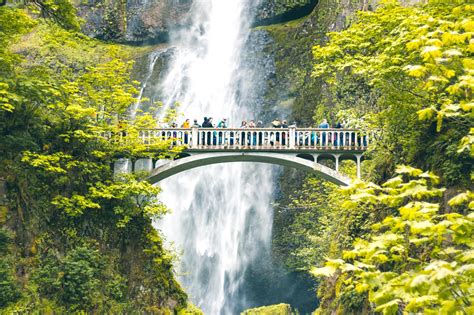 12 Best Hikes IN Portland, Oregon for Views, Forest Trails, & Urban …