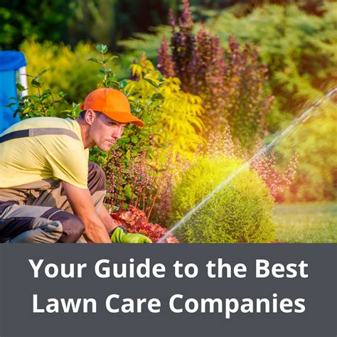 12 Best Lawn Care Companies Near Me - House Method