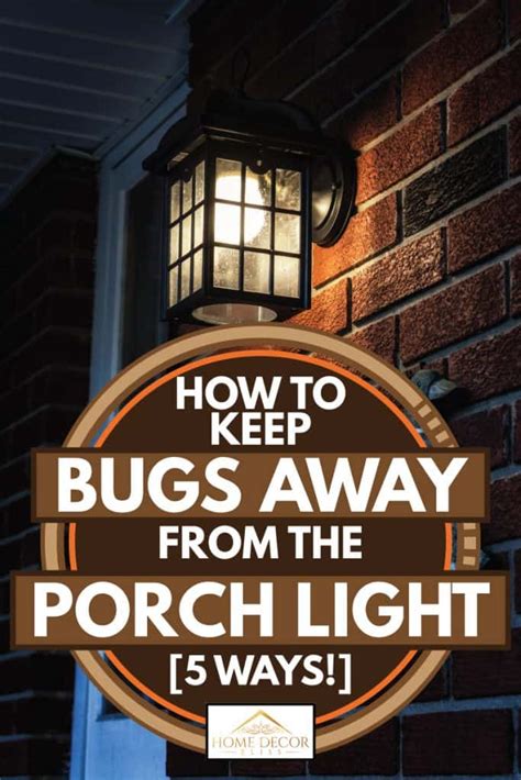 12 Best Ways on How to Keep Bugs Away From The Porch Light …